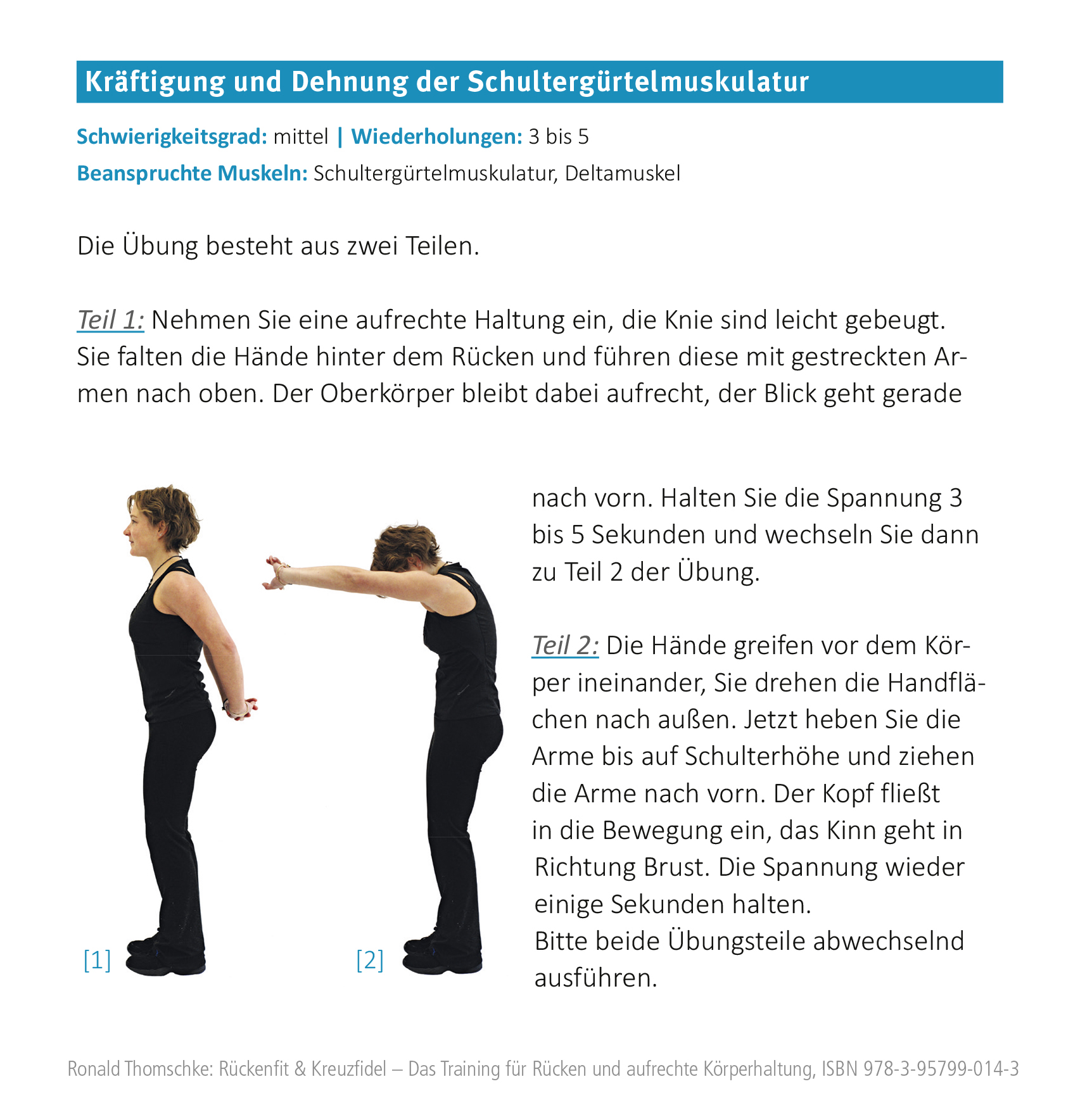 Schultergürtelmuskulatur kräftigen