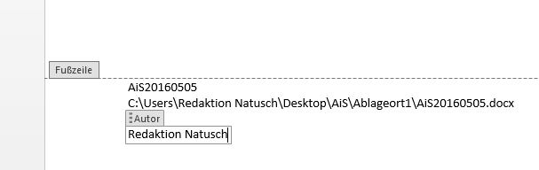 In die Fußzeile können Sie verschiedene Dateiinformationen aufnehmen